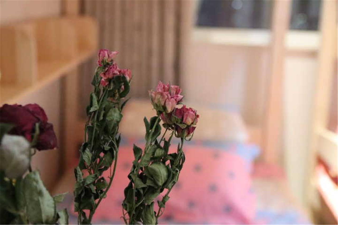 Yantai Music Theme Youth Hostel Exterior foto